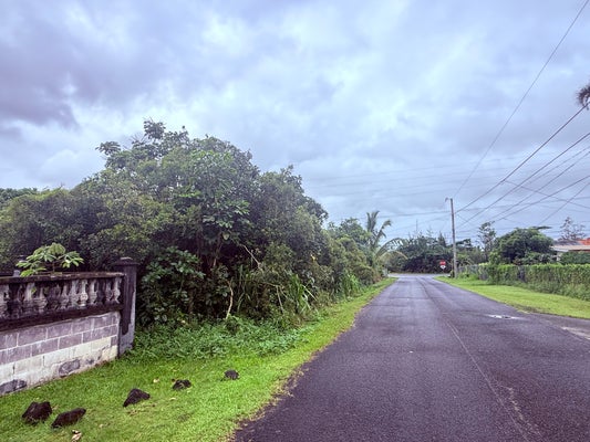 MAILE WAY, PAHOA, HI 96778 - Image 4d254b82a7ef66eacb2aa8b13ae2f0dc/187606220