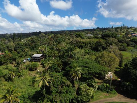 Photo of 82-1161 Kinue Rd, Captain Cook, HI 96704 (MLS # 727286)