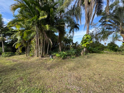 Photo of 82-1161 Kinue Rd, Captain Cook, HI 96704 (MLS # 727286)