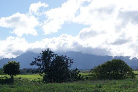 Photo of 6555 Olohena Rd, Kapaa, HI 96746 (MLS # 710994)