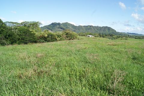 Tiny photo for 6555 Olohena Rd, Kapaa, HI 96746 (MLS # 710994)