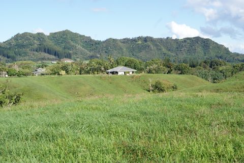 Tiny photo for 6555 Olohena Rd, Kapaa, HI 96746 (MLS # 710994)