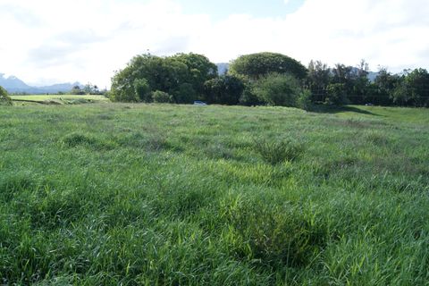 Tiny photo for 6555 Olohena Rd, Kapaa, HI 96746 (MLS # 710994)