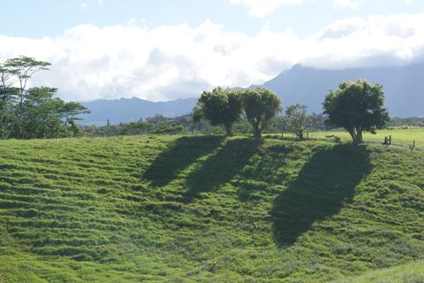 Tiny photo for 6555 Olohena Rd, Kapaa, HI 96746 (MLS # 710994)