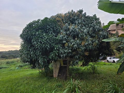 Tiny photo for 6469-L Kawaihau Rd, Kapaa, HI 96746 (MLS # 727176)