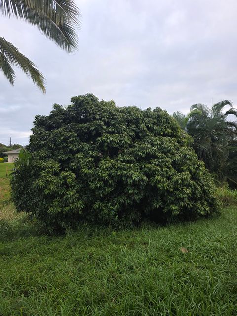 Tiny photo for 6469-L Kawaihau Rd, Kapaa, HI 96746 (MLS # 727176)