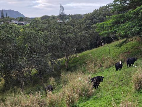 Tiny photo for 6469-L Kawaihau Rd, Kapaa, HI 96746 (MLS # 727176)