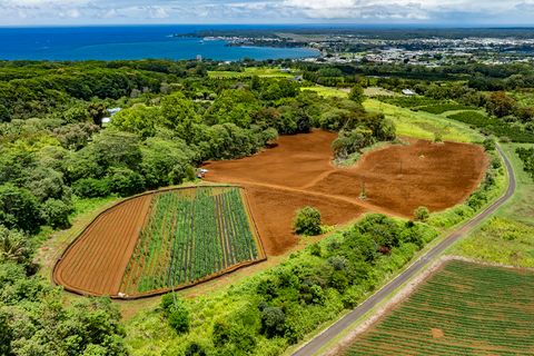 Photo of 1436 Maikalani St, Hilo, HI 96720 (MLS # 721787)