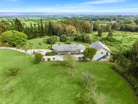 Photo of 56-827 Waiolu Pl, Hawi, HI 96719 (MLS # 725801)