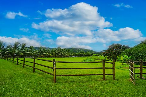 Tiny photo for 4700 Kapuna Rd, Kilauea, HI 96722 (MLS # 727543)