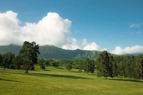 Tiny photo for Kuhio Hwy #7, Kilauea, HI 96754 (MLS # 724854)