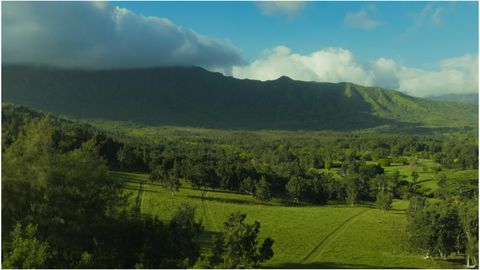 Tiny photo for Kuhio Hwy #7, Kilauea, HI 96754 (MLS # 724854)