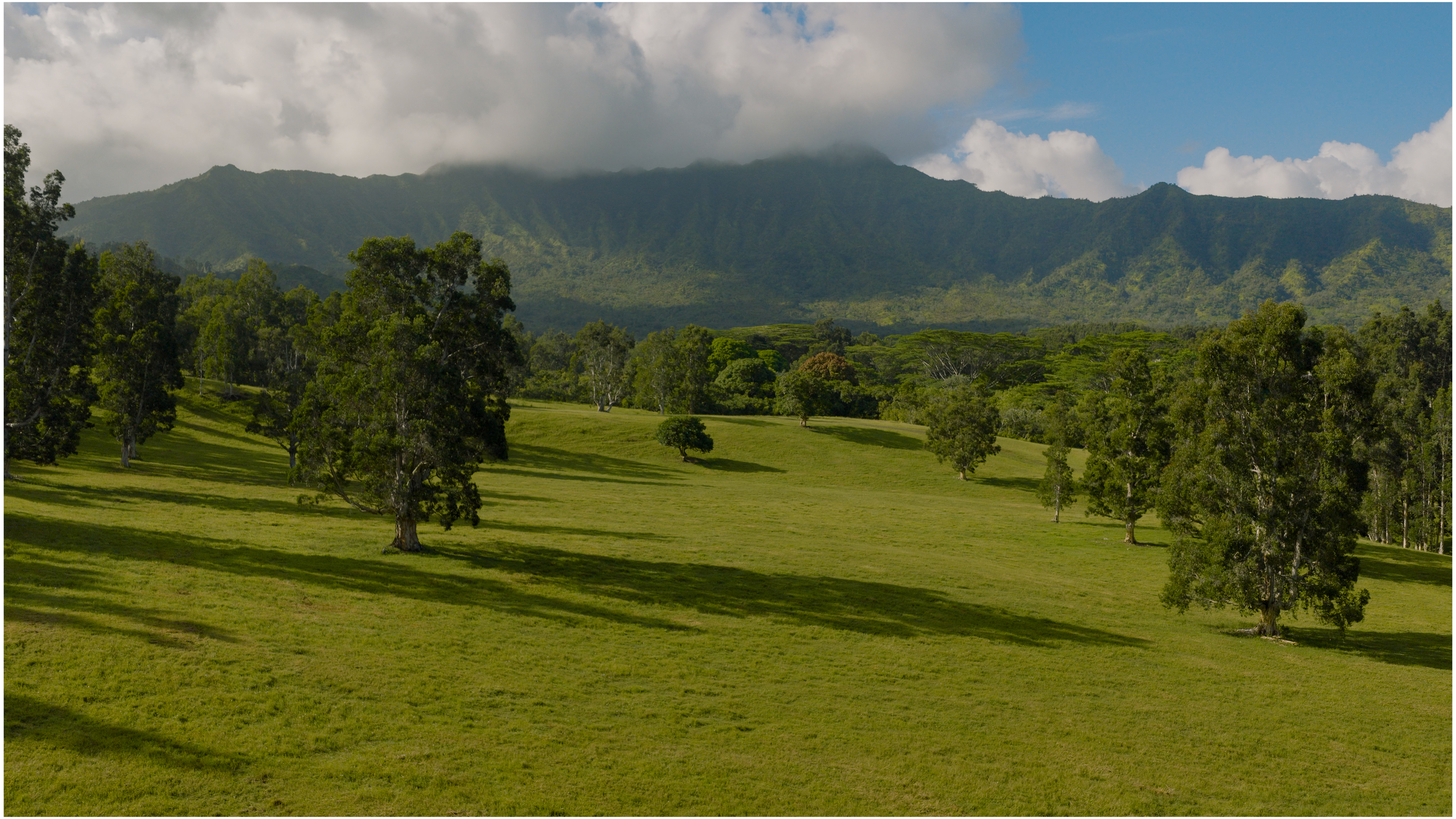 KUHIO HWY 7