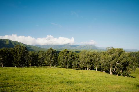 Tiny photo for Kuhio Hwy #7, Kilauea, HI 96754 (MLS # 724854)