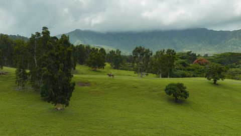 Tiny photo for Kuhio Hwy #7, Kilauea, HI 96754 (MLS # 724854)