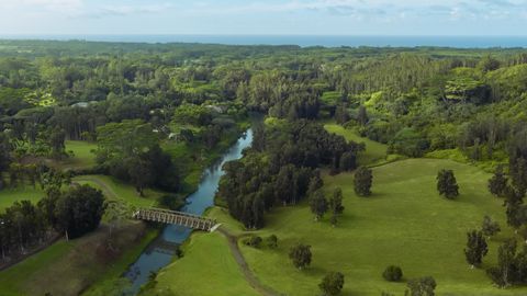 Tiny photo for Kuhio Hwy #7, Kilauea, HI 96754 (MLS # 724854)