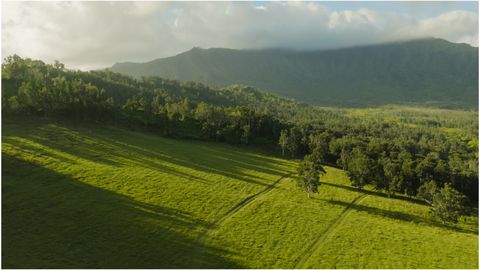 Tiny photo for Kuhio Hwy #7, Kilauea, HI 96754 (MLS # 724854)