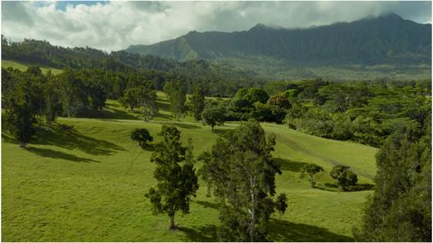 Tiny photo for Kuhio Hwy #7, Kilauea, HI 96754 (MLS # 724854)