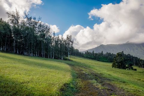 Tiny photo for Kuhio Hwy #7, Kilauea, HI 96754 (MLS # 724854)
