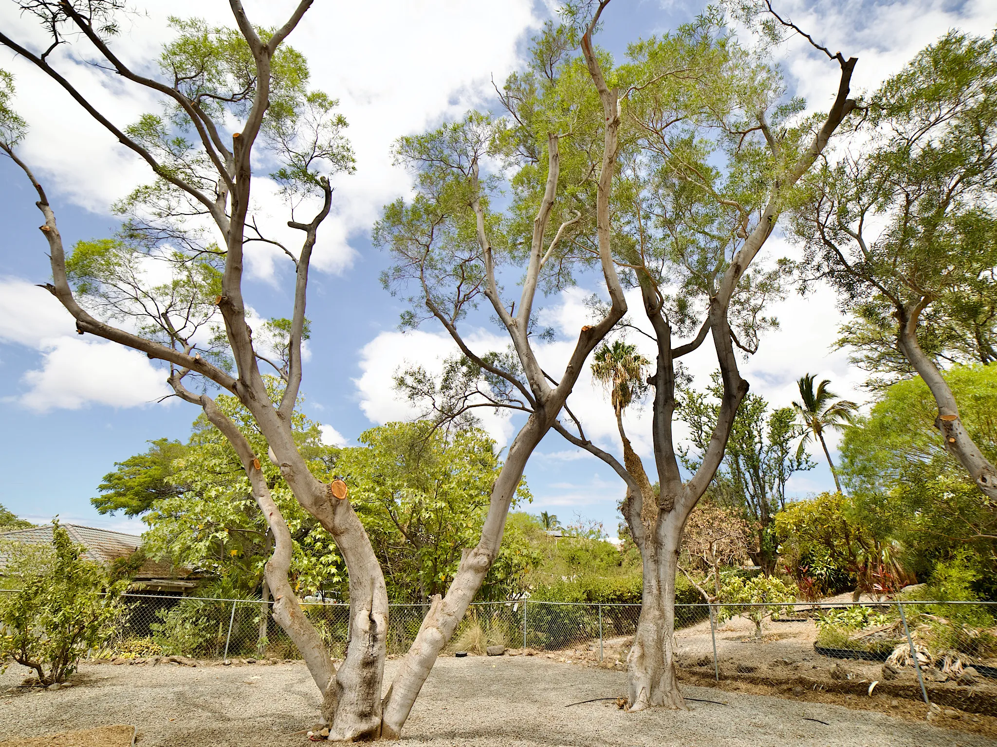 Waikoloa, Hawaii 96738, United States, 3 Bedrooms Bedrooms, ,2 BathroomsBathrooms,Residential,Active,211403