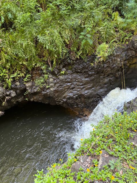 Tiny photo for 1750 Ahiahi Rd, Kapaa, HI 96746 (MLS # 724546)