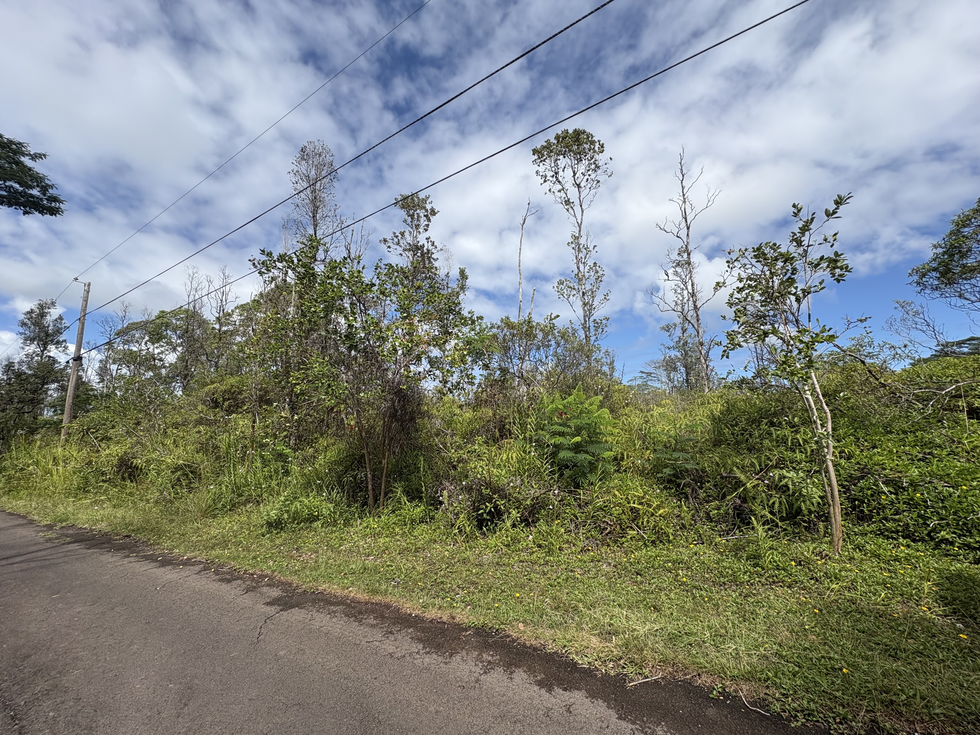 View of the property from paved Aloha Court side