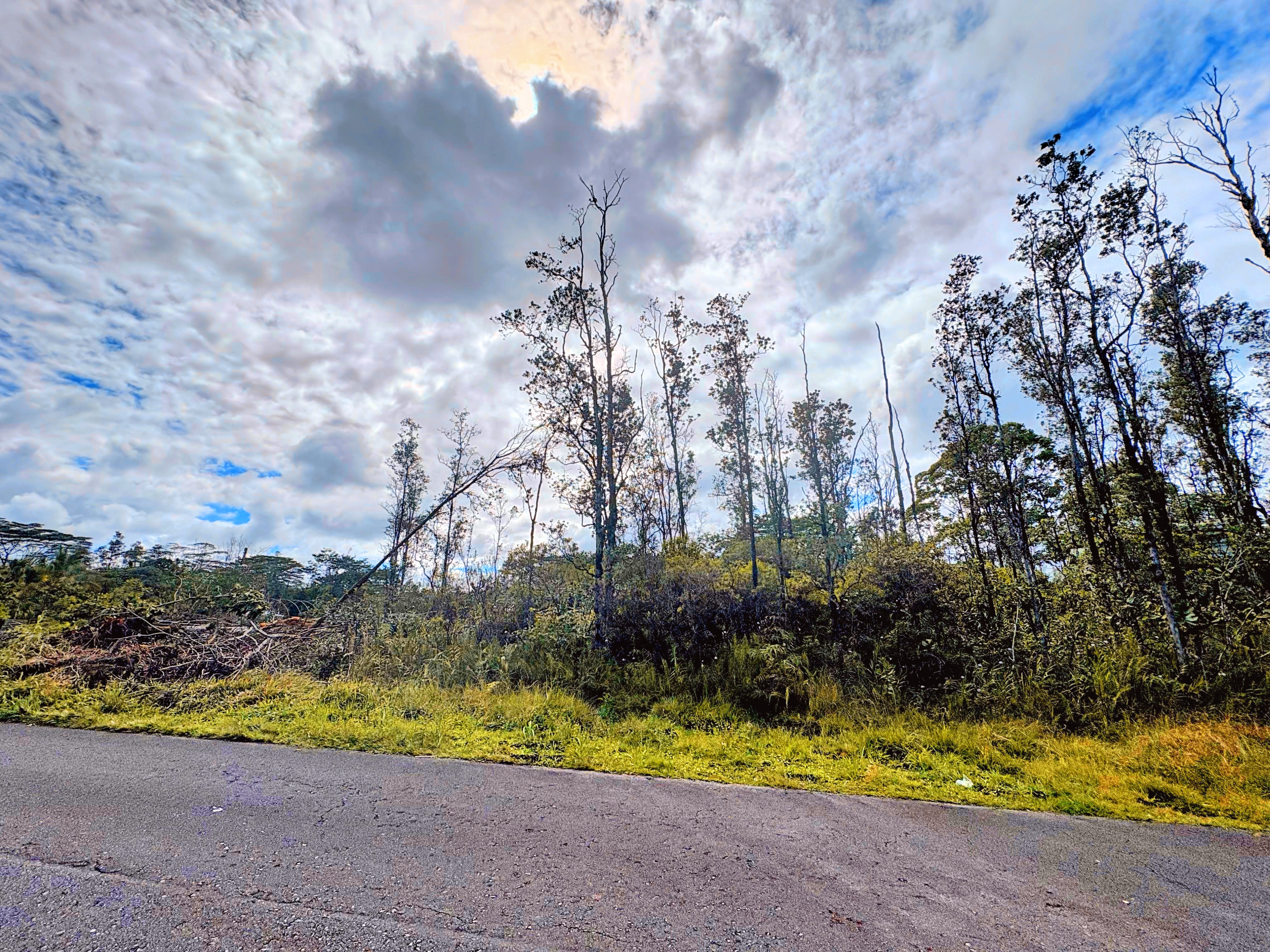 View of property from paved Uilani Side
