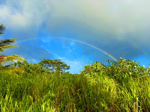 Tiny photo for Omao Rd, Koloa, HI 96756 (MLS # 720988)