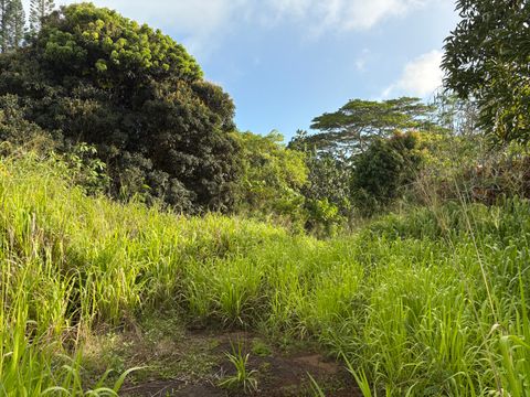 Tiny photo for Omao Rd, Koloa, HI 96756 (MLS # 720988)