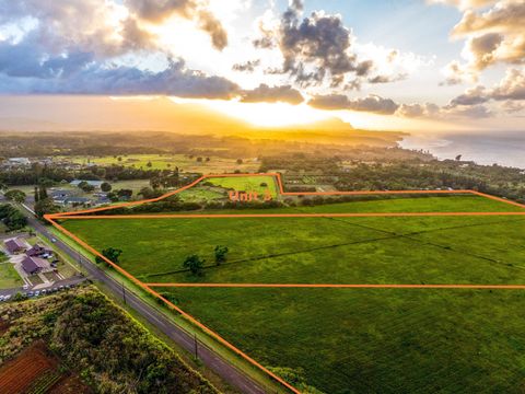 Tiny photo for Kauapea Rd, Kilauea, HI 96754 (MLS # 726130)