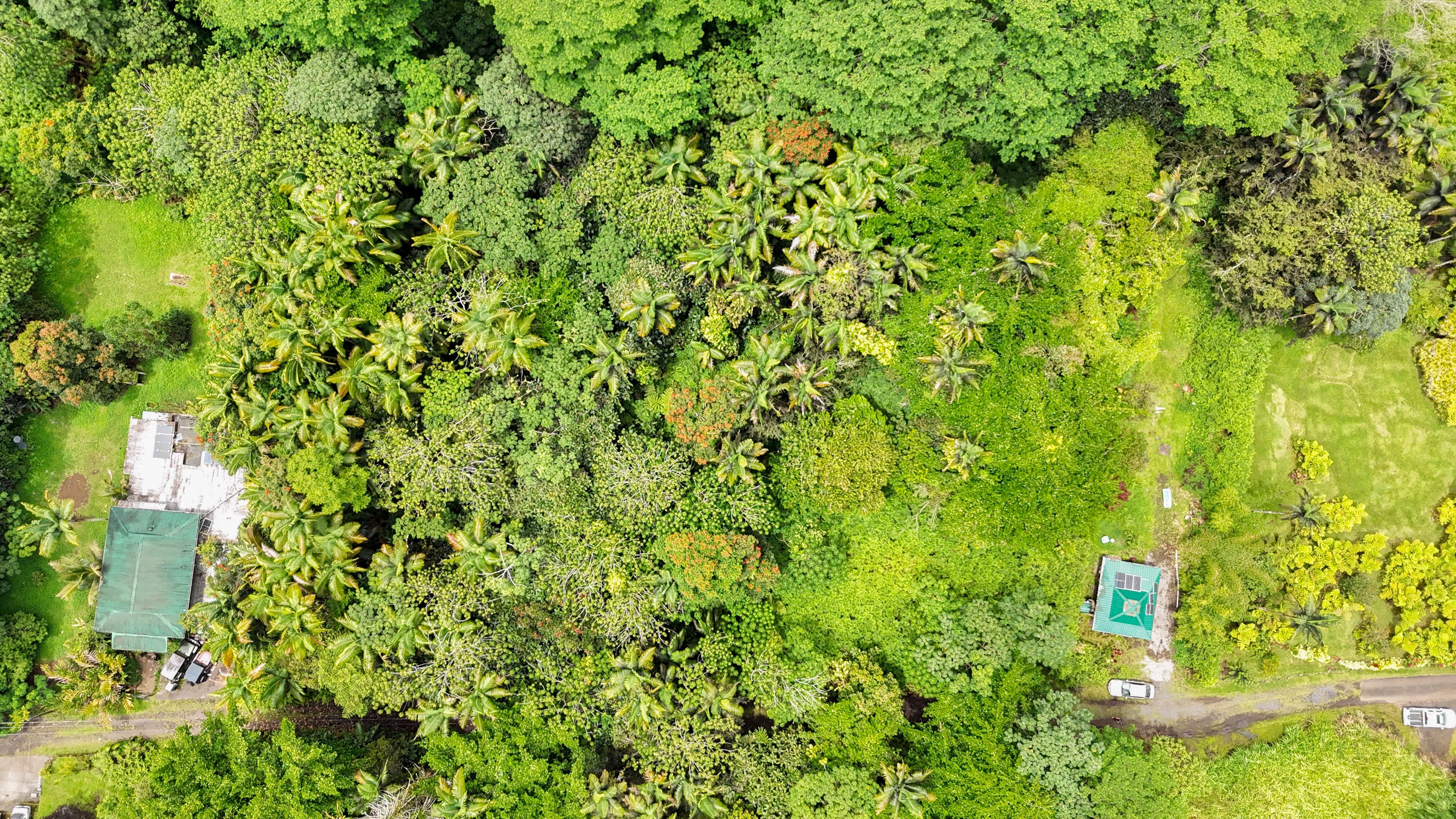 Photo 1 of 6 — JAPANESE CAMP RD, Pahoa, HI 96778