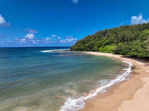 Tiny photo for 3590 Moloaa Rd, Anahola, HI 96746 (MLS # 721361)