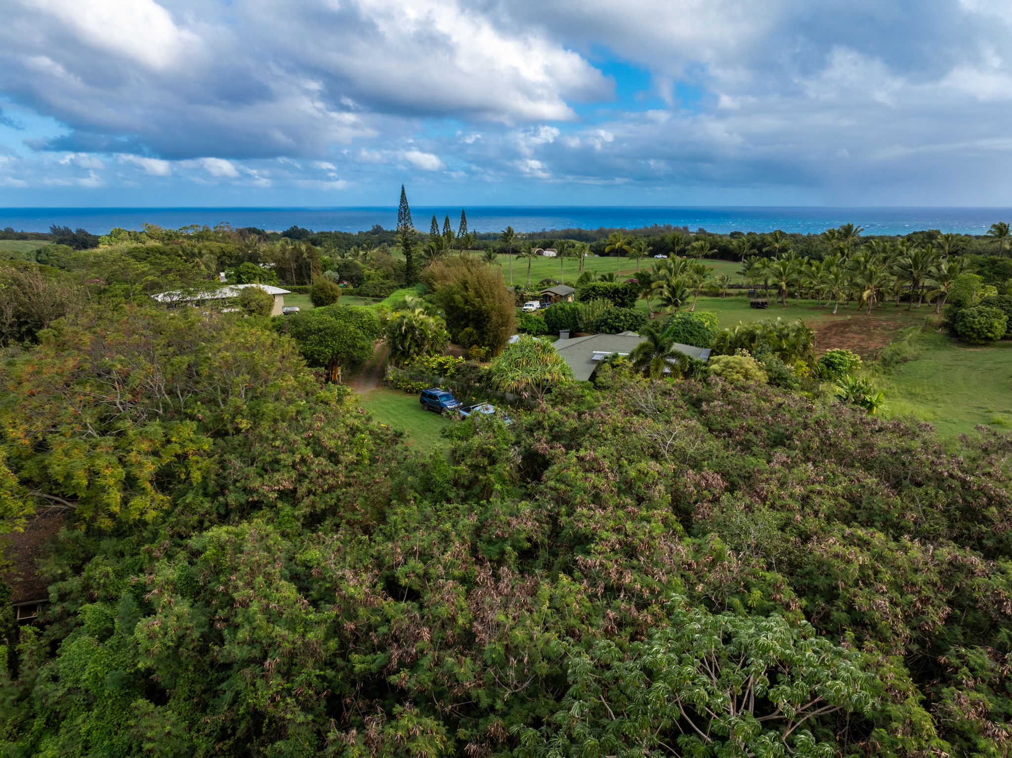 Photo 1 of 23 — 7549-A KOOLAU RD, Kilauea, HI 96754