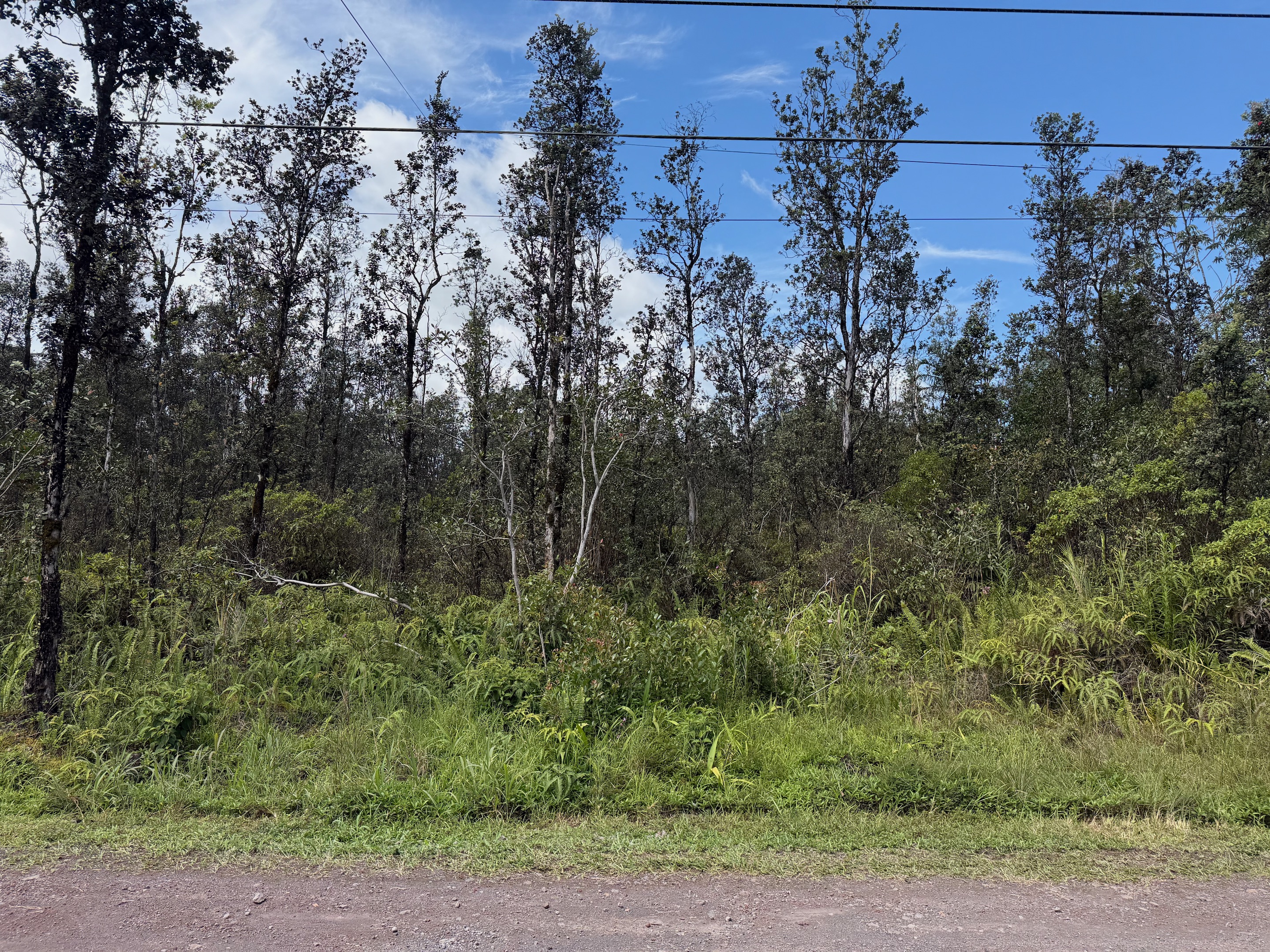 Facing Vacant lot