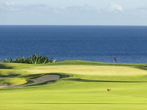 Tiny photo for 5278 Alihilani St, Koloa, HI 96756 (MLS # 726372)