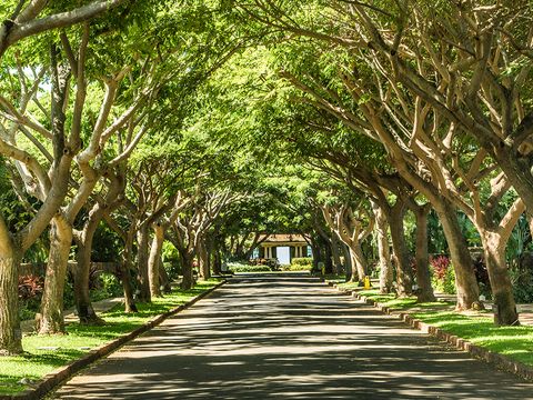 Tiny photo for 5278 Alihilani St, Koloa, HI 96756 (MLS # 726372)