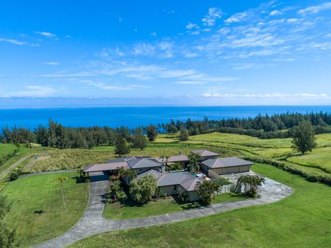 Photo of 45-3514 Nanaina Kai Rd, Honokaa, HI 96727 (MLS # 719489)