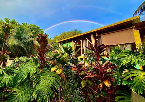 Photo of 12-7022 Akanikolea St, Pahoa, HI 96778 (MLS # 723798)