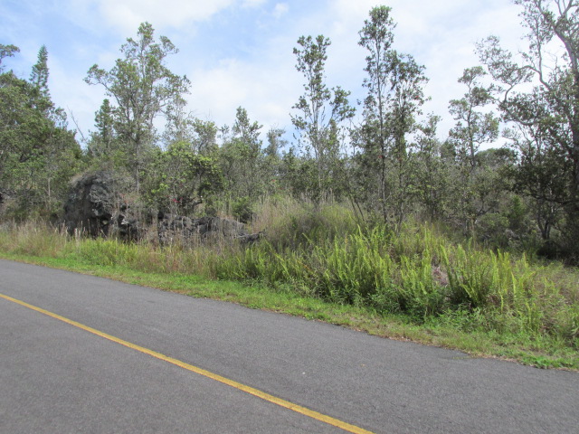 ORCHID PKWY