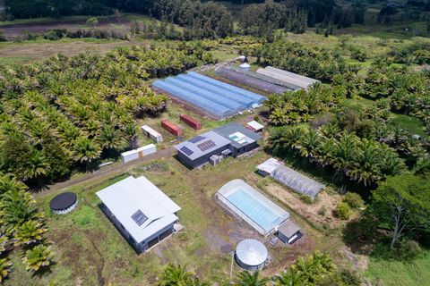 Photo of 18-3840 S Lauko Rd, Mountain View, HI 96771 (MLS # 719523)