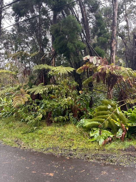 Photo 1 of 1 — Volcano, HI 96785