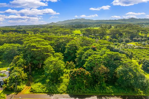 Tiny photo for Kuawa Rd, Kilauea, HI 96754 (MLS # 724904)