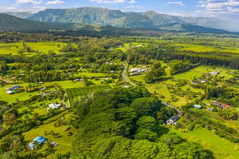 Tiny photo for Kuawa Rd, Kilauea, HI 96754 (MLS # 724904)