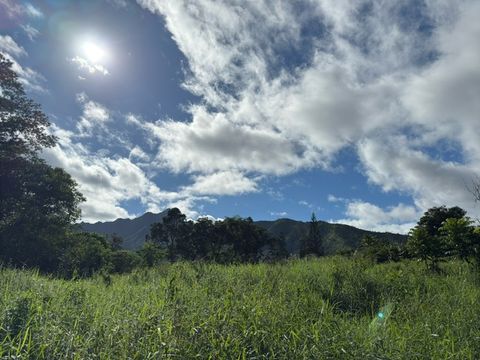 Tiny photo for Kahiliholo Rd, Kilauea, HI 96722 (MLS # 721665)