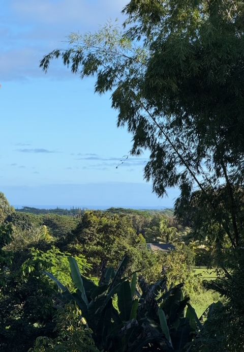 Tiny photo for Kahiliholo Rd, Kilauea, HI 96722 (MLS # 721665)