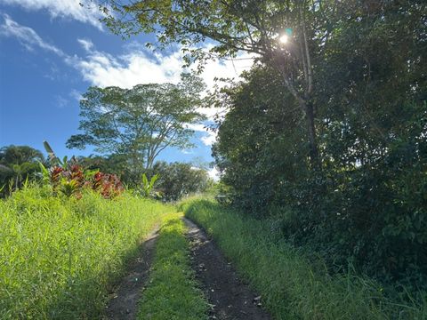 Tiny photo for Kahiliholo Rd, Kilauea, HI 96722 (MLS # 721665)