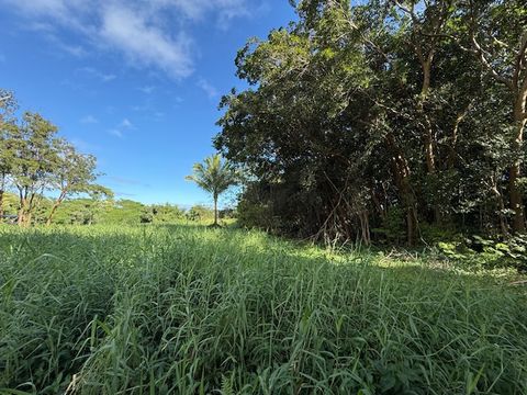 Tiny photo for Kahiliholo Rd, Kilauea, HI 96722 (MLS # 721665)
