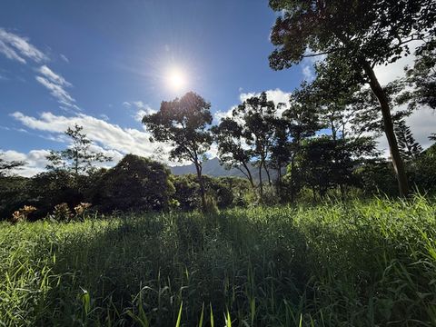 Tiny photo for Kahiliholo Rd, Kilauea, HI 96722 (MLS # 721665)