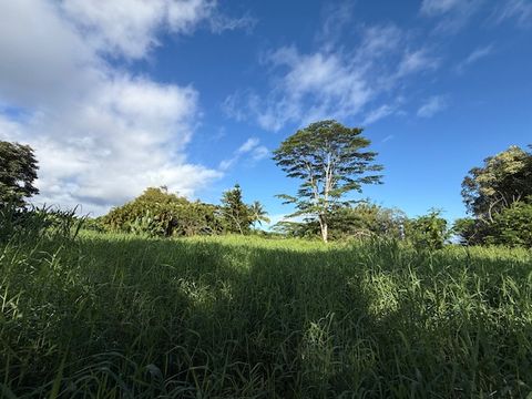 Tiny photo for Kahiliholo Rd, Kilauea, HI 96722 (MLS # 721665)