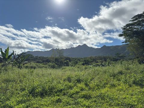 Tiny photo for Kahiliholo Rd, Kilauea, HI 96722 (MLS # 721665)